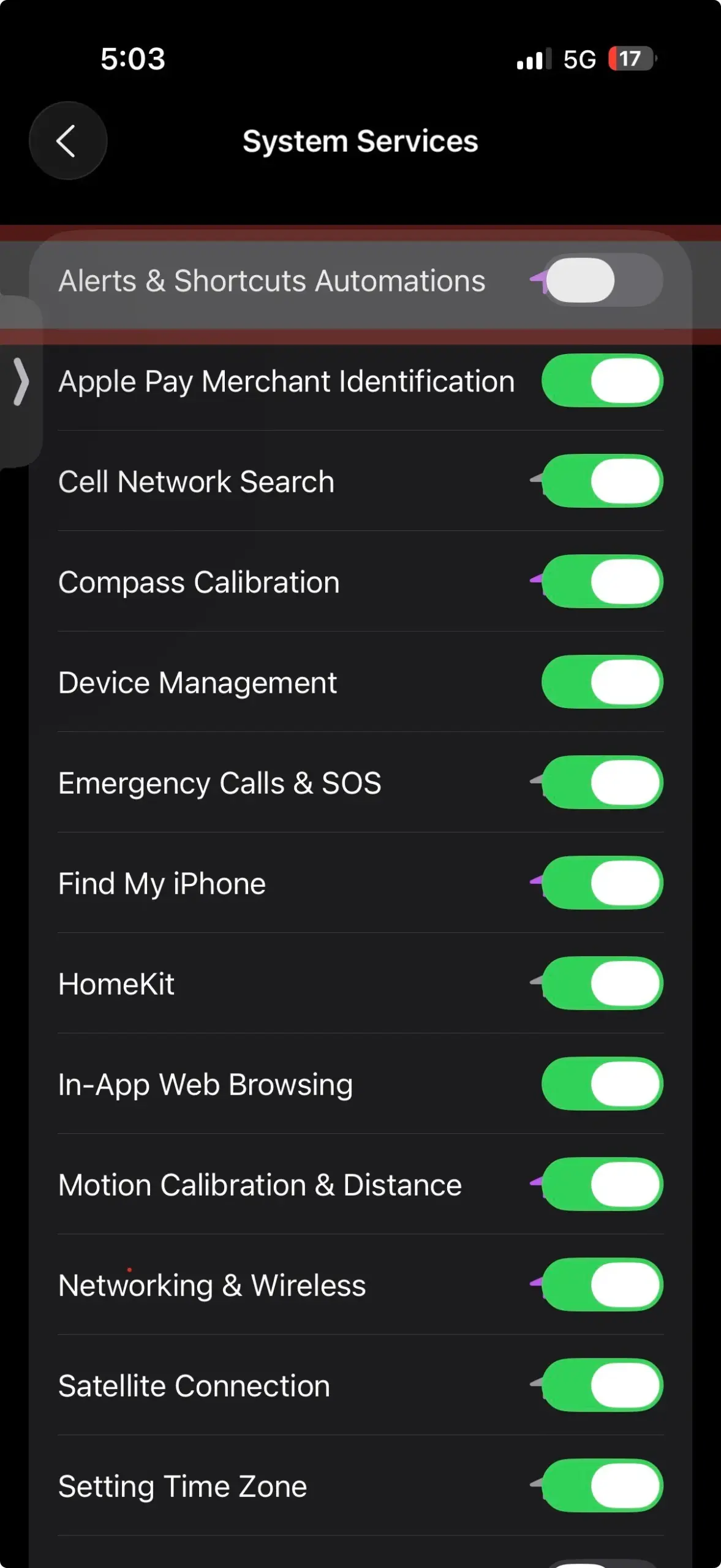 Ultimate Guide: iPhone System Services You Should Turn Off (And Why) 7 iPhone System Services screen with "Alerts & Shortcuts Automations" toggle enabled at the top, controlling automation notifications.