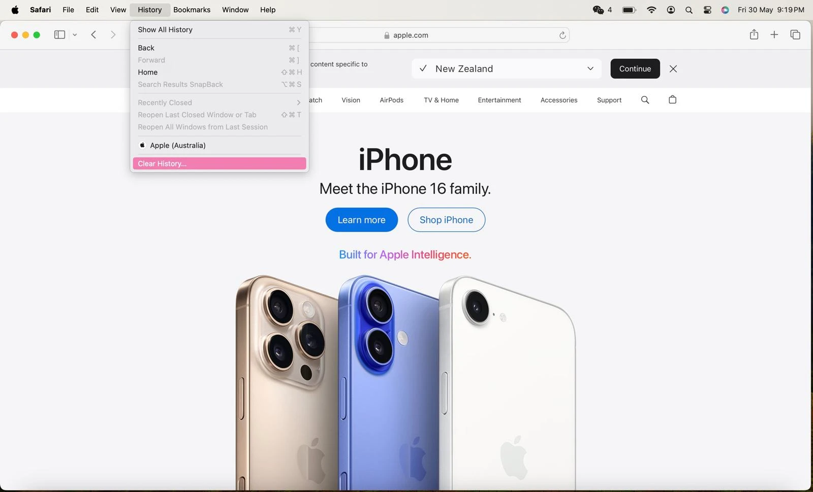 loginitems Safari browser open on Apple’s website with “Clear History” option and Safari Extensions window under the heading “Browser Optimization.”